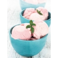 Magimix Le Glacier Ice Cream Maker Instruction 11047 11048