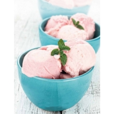 Magimix Le Glacier Ice Cream Maker Instruction 11047 11048